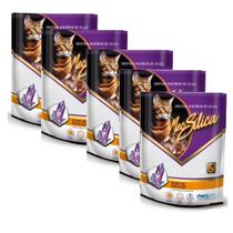 Kit 5 Cristais Higiênico Silica Para Gatos Pacote 1,2Kg Mec Silica