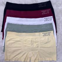 Kit 5 Cuecas Boxer Plus Size Poliamida Sem Costura Zee Rucci