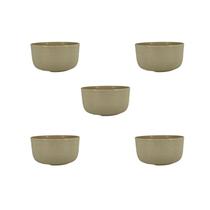 Kit 5 Cumbuca Tigela Bowl Caldo Sobremesa Sopa Sorvete Fibra de Trigo 240 ML Kit 5 Cumbuca Tigela Bowl Caldo Sobremesa Sopa Sorvete Fibra de Trigo 240 ML