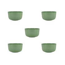 Kit 5 Cumbuca Tigela Bowl Caldo Sobremesa Sopa Sorvete Fibra de Trigo 240 ML Kit 5 Cumbuca Tigela Bowl Caldo Sobremesa Sopa Sorvete Fibra de Trigo 240 ML