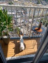 Kit 5 deck modular plástico antiderrapante 30x30 piscina box varanda jardim sacada - TRIDECK