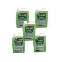 Kit 5 Essências de Eucalipto Concentrado Para Sauna 1 L