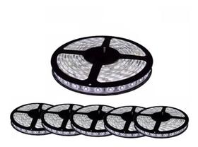 Kit 5 Fita Led Rolo 5m 5050 Branco Frio A Prova D'agua Kit 5 Fita Led Rolo 5m 5050 Branco Frio A Prova D'agua