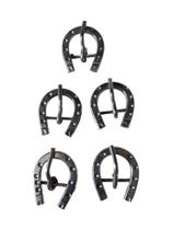 Kit 5 Fivela Aberta Ferradura Aço Inox 19mm 16mm