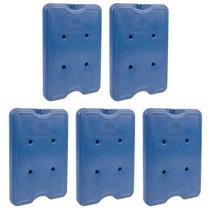 Kit 5 Gelo Placa Gel Artificial Reutilizável Rígido 550ml Kit 5 Gelo Placa Gel Artificial Reutilizável Rígido 550ml