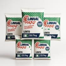 Kit 5 Gesso Lento Estuque Artesanato Linhal 1kg Cada