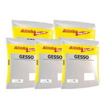 Kit 5 Gesso Seca Rápido Reparos Artenasal Cola Branco 1kg