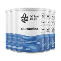 Kit 5 Glutamina em Pó Ocean Drop Vegano 250g Kit 5 Glutamina em Pó Ocean Drop Vegano 250g