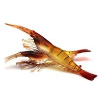 Kit 5 Isca Camarão Artificiais Robalo Tucunaré Corvina