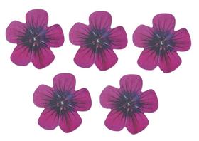 KIT 5 Lixas de Unhas em E.V.A. Flor
