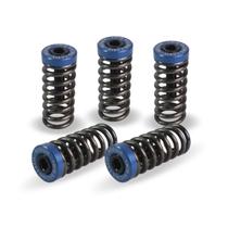 Kit 5 Molas Embreagem 4win Competição Medium Crf 250/300f Kit 5 Molas Embreagem 4win Competição Medium Crf 250/300f