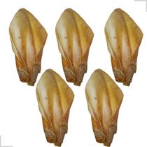 Kit 5 Mordedor Pet Para Cães Orelha Bovina Natural Boi Brinquedo Cachorro Desidratada Osso Roer Petisco Higiene bucal Antistress Adestramentos Agr