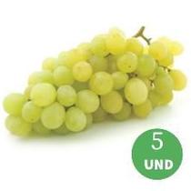 Kit 5 Mudas Uva Niagara Branca Comer em Natura Climas Tropical-Enxerto Kit 5 Mudas Uva Niagara Branca Comer em Natura Climas Tropical-Enxerto
