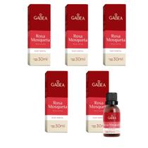 Kit 5 Óleo Rosa de Mosqueta 5x30ml Gabea Sabor:Sem sabor Kit 5 Óleo Rosa de Mosqueta 5x30ml Gabea Sabor:Sem sabor