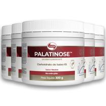 Kit 5 Palatinose Vegano Vitafor 300g Neutro