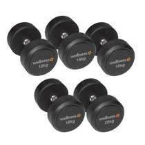 Kit 5 Pares Dumbells (12kg A 20kg) Wellness - WK157