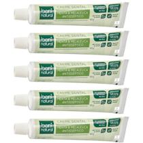 Kit 5 Pasta de Dente Natural Vegana Boni Menta e Melaleuca Kit 5 Pasta de Dente Natural Vegana Boni Menta e Melaleuca