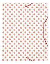 Kit 5 Pasta Elástico CAba A4 Trend Color Morangos Plascony