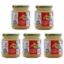 Kit 5 Pastas Amendoim Fit Integral Orgânica Onveg 210g cada