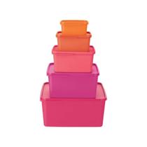 Kit 5 Peças Tupperware Basic Line Cores Tropicais