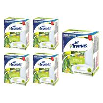 Kit 5 Pedra Sanitária Cítrus Mil Aromas 35g Perfumada