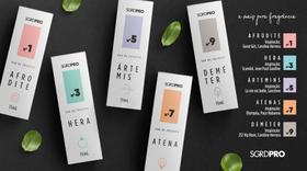 Kit 5 Perfumes feminino 15mL