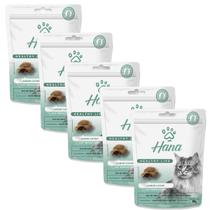Kit 5 Petisco Hana Catnip Gato Petisco Adulto 60g