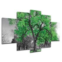 Kit 5 Placa Quadro Decorativo Árvore Cor 3D Borda infinita