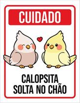 Kit 5 Placas Decorativa Aviso Calopsita Solta No Chão 36X46