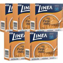 Kit 5 Pó para Pudim De Caramelo Linea 25g