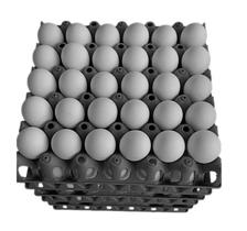 Kit 5 Porta Ovo Cartela Plástica P/30 Ovos Bandeja Higiênica
