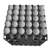Kit 5 Porta Ovo Cartela Plástica P/30 ovos Bandeja Higiênica
