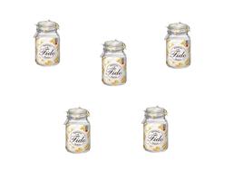 Kit 5 Potes de Vidro Hermético Original FIDO Terrina 2000 ml Ø 12 mm Multiuso