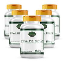 Kit 5 Potes Erva De Bicho 300 Cáps 500Mg 100% Natural