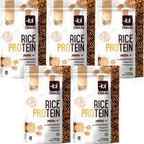 Kit 5 Rice Protein Paçoca Rakkau 600g Vegano Proteína Arroz