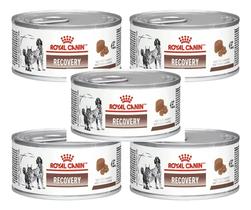 KIT 5 Royal Canin Recovery Ração Recuperação para Cão e Gato 195g