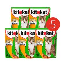 Kit 5 Sachê Kitekat Frango ao Molho para Gatos Adultos 70g