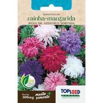 kit 5 Sementes de Rainha-Margarida Pena de Avestruz Sortidas - Topseed