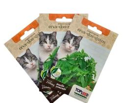 Kit 5 Sementes Erva De Gato Felino Catnip Envelope 250mg Kit 5 Sementes Erva De Gato Felino Catnip Envelope 250mg