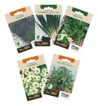 Kit 5 Sementes Temperos Ervas Aromáticas Para Hortas E Mudas Kit 5 Sementes Temperos Ervas Aromáticas Para Hortas E Mudas