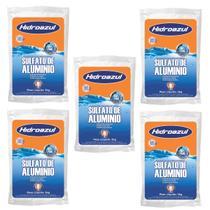 Kit 5 Sulfato De Aluminio 2kg Decantador Piscina Hidroazul