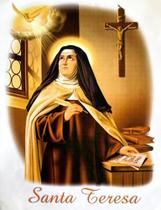 Kit 5 Un Papel Transfer Para Camiseta - Santa Teresa