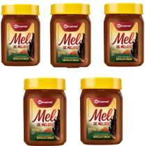 Kit 5 Unidades Mel Bracatinga 500g Minamel