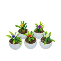 Kit 5 Vasos Decorativos Redondos com Hortênsias