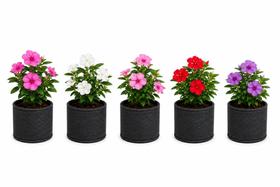 Kit 5 Vasos Feltro 20cm X20cm 6 litros Plantas Cultivo Indoor Outdoor Kit 5 Vasos Feltro 20cm X20cm 6 litros Plantas Cultivo Indoor Outdoor