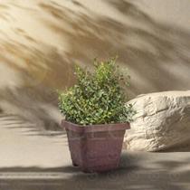 Kit 5 Vasos Quadrado Para Plantas Flores 18 Litros Em Plástico Reforçado Decoração Jardim Varanda