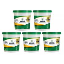 Kit 5 Vbrasil Impermeabilizante 1kg Para Concreto E Cimento Kit 5 Vbrasil Impermeabilizante 1kg Para Concreto E Cimento