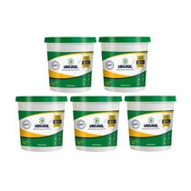 KIT 5 Vbrasil Impermeabilizante 1kg Para Concreto E Cimento