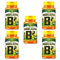 Kit 5 vitamina b2 60 caps de 500 mg unilife