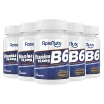 Kit 5 Vitamina B6 Apisnutri 60 cápsulas Kit 5 Vitamina B6 Apisnutri 60 cápsulas